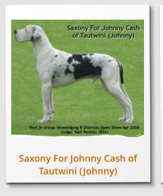 Saxony For Johnny Cash of Tautwini (Johnny)