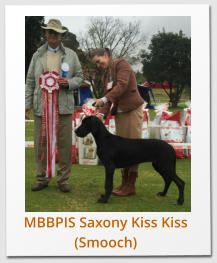 MBBPIS Saxony Kiss Kiss (Smooch)