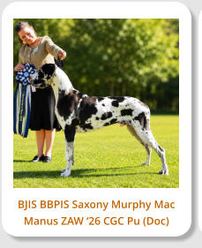 BJIS BBPIS Saxony Murphy Mac Manus ZAW �26 CGC Pu (Doc)