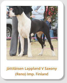 J�ttil�isen Lappland V Saxony (Reno) Imp. Finland
