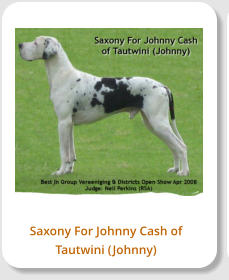 Saxony For Johnny Cash of Tautwini (Johnny)