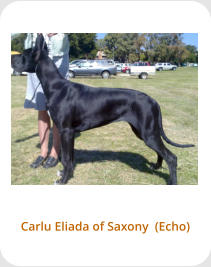 Carlu Eliada of Saxony  (Echo)