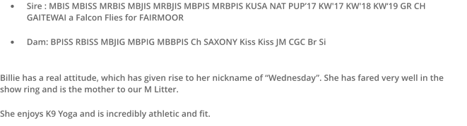 �	Sire : MBIS MBISS MRBIS MBJIS MRBJIS MBPIS MRBPIS KUSA NAT PUP�17 KW'17 KW'18 KW�19 GR CH GAITEWAI a Falcon Flies for FAIRMOOR   �	Dam: BPISS RBISS MBJIG MBPIG MBBPIS Ch SAXONY Kiss Kiss JM CGC Br Si  Billie has a real attitude, which has given rise to her nickname of �Wednesday�. She has fared very well in the show ring and is the mother to our M Litter.  She enjoys K9 Yoga and is incredibly athletic and fit.